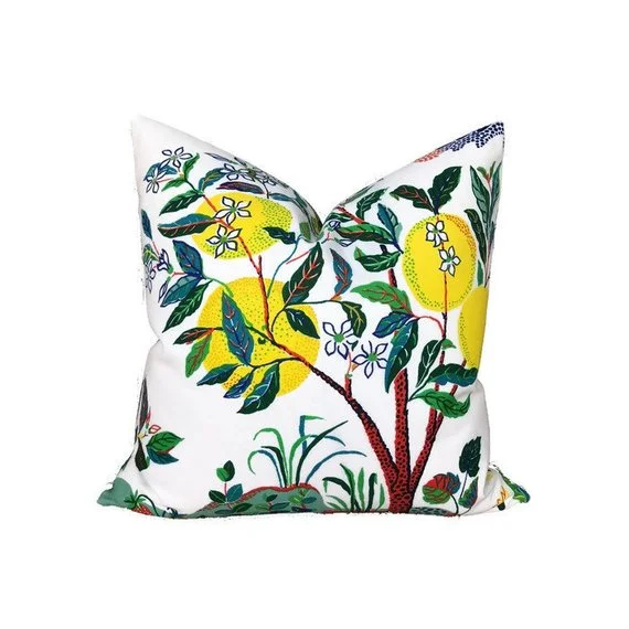 Soft and Fluffy Pillows for Bedroom ComfortOutdoor Schumacher Citrus Garden Pillow Cover in Primary