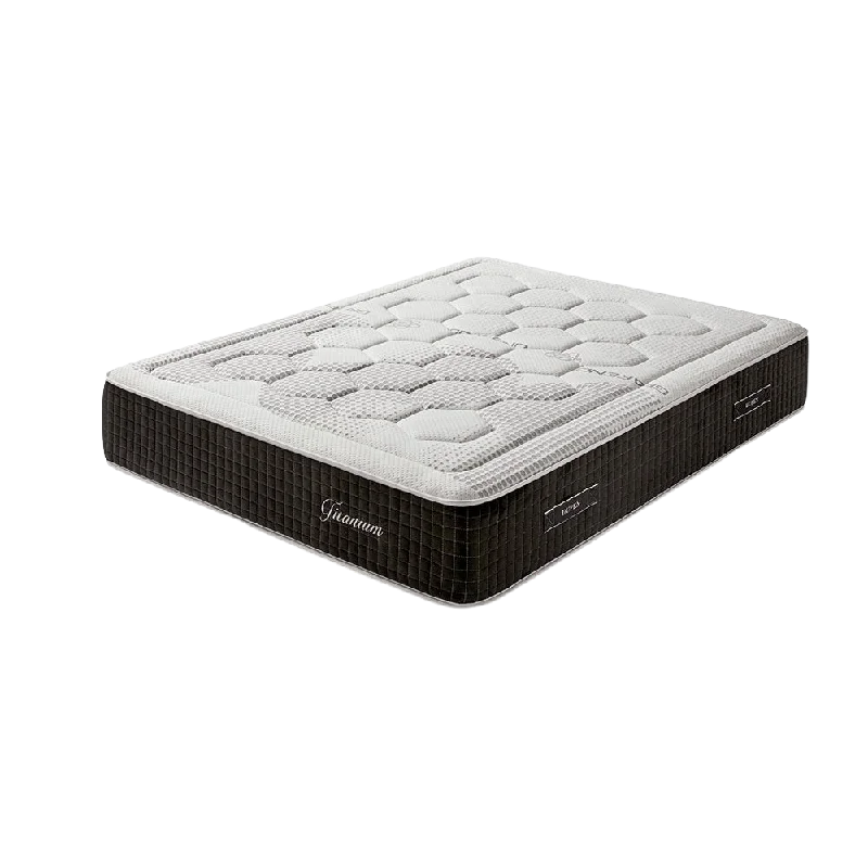 Polyester - foam mattresses for budget - friendly optionsTitanium Mattress